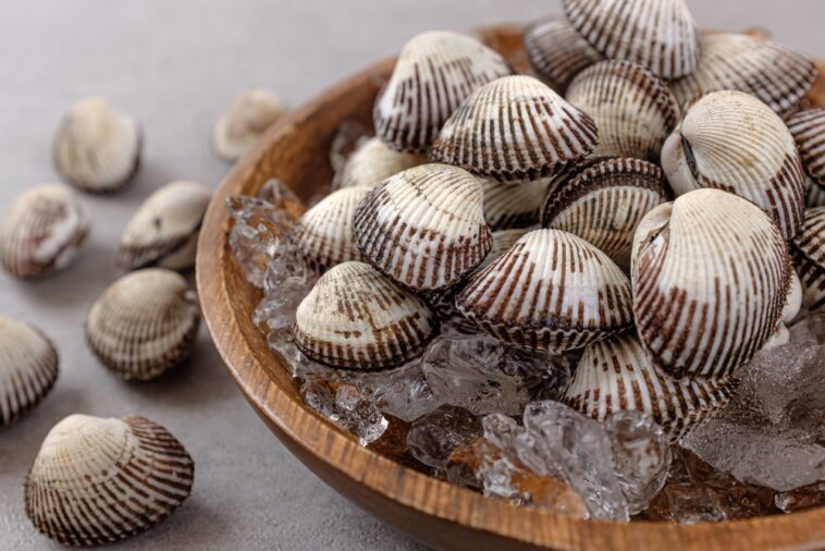 Types Of Edible Shellfish 13 Types of Shellfish You Can Eat