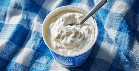 best yogurt brands